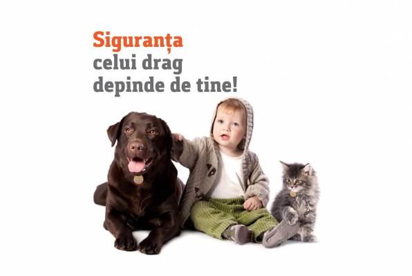 4 OCTOMBRIE Ziua Mondiala a Animalelor