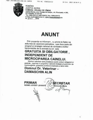 Atențiune, atențiune! Către tătă lumea care are câine acasă